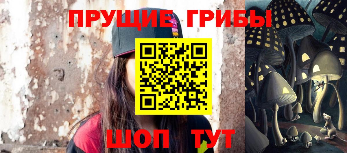 Галлюциногенные грибы Psilocybine cubensis Котлас